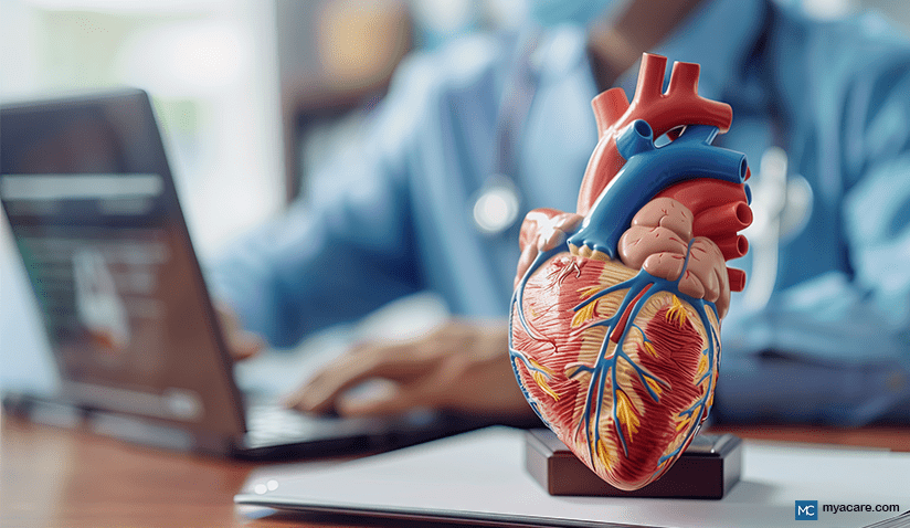 CARDIOVASCULAR SYSTEM OVERVIEW