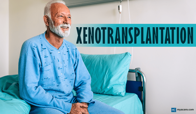 XENOTRANSPLANTATION - COULD PIG LIVERS END THE TRANSPLANT WAITLIST?