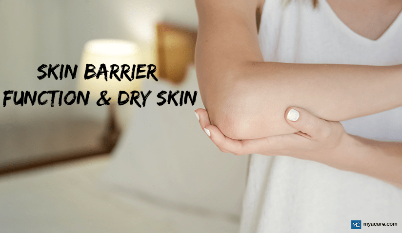 THE IMPORTANCE OF SKIN BARRIER FUNCTION IN THE TREATMENT OF DRY SKIN