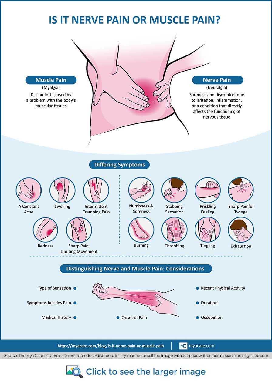 Definitions,differing symptoms of Myalgia(sharp pain,swelling)&Neuralgia(throbbing,burning),distinguishing Nerve&Muscle pain